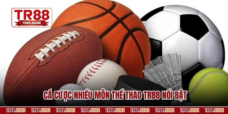 Cá cược nhiều môn thể thao TR88 nổi bật