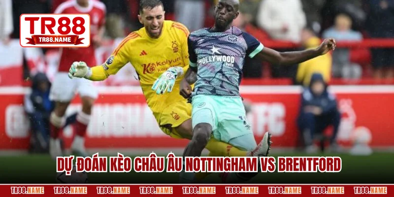Dự đoán kèo châu Âu Nottingham vs Brentford