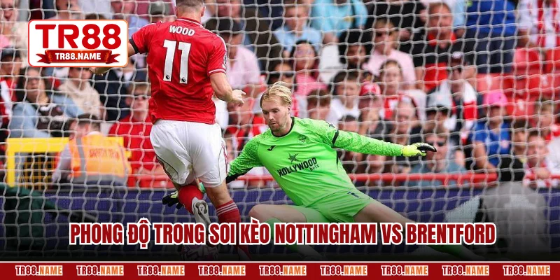 Phân tích phong độ trong soi kèo Nottingham vs Brentford