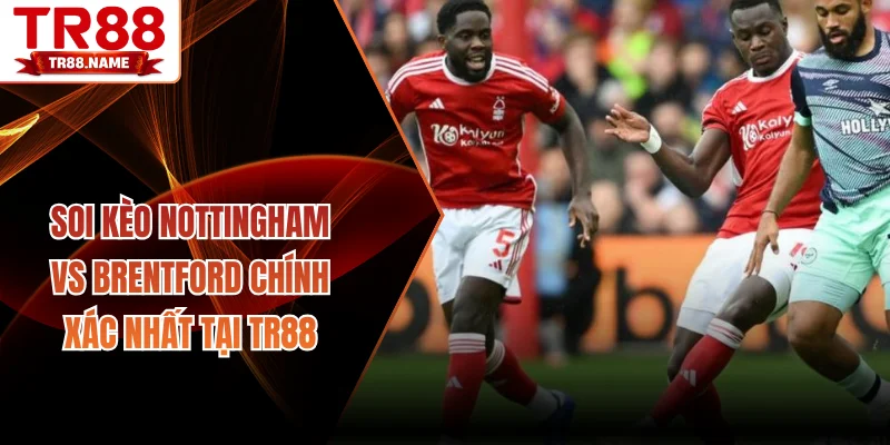 soi kèo Nottingham vs Brentford